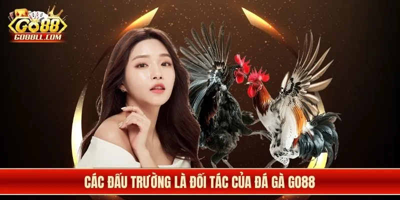 Các đấu trường là đối tác của đá gà Go88