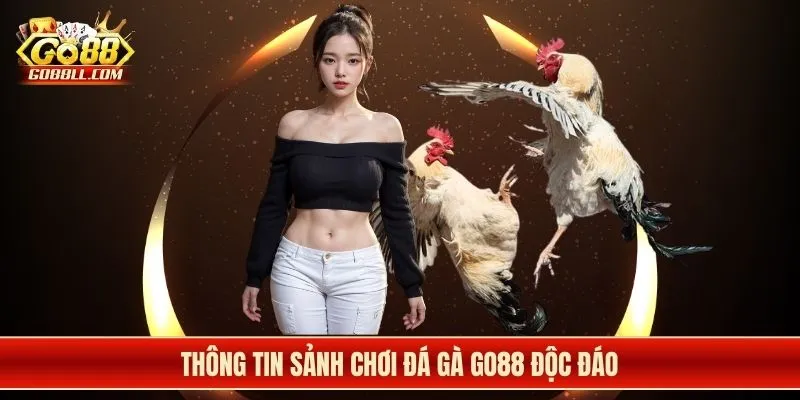Thông tin sảnh chơi đá gà Go88 độc đáo