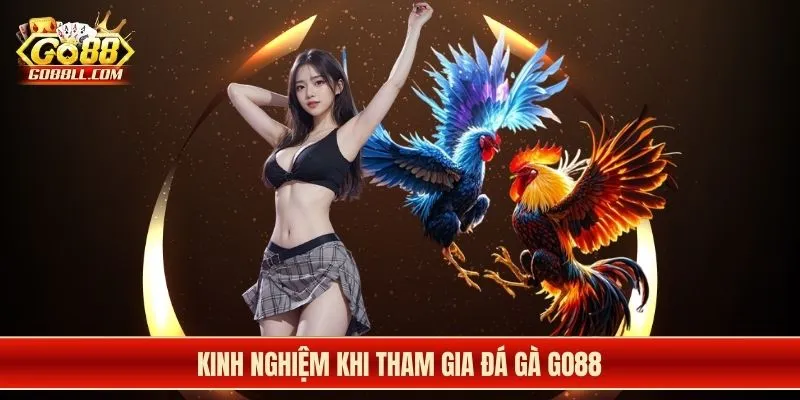 Kinh nghiệm khi tham gia đá gà Go88