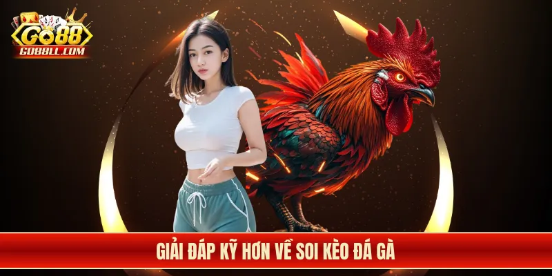 Giải đáp kỹ hơn về soi kèo đá gà