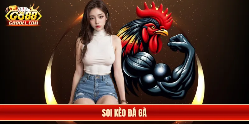 soi kèo đá gà